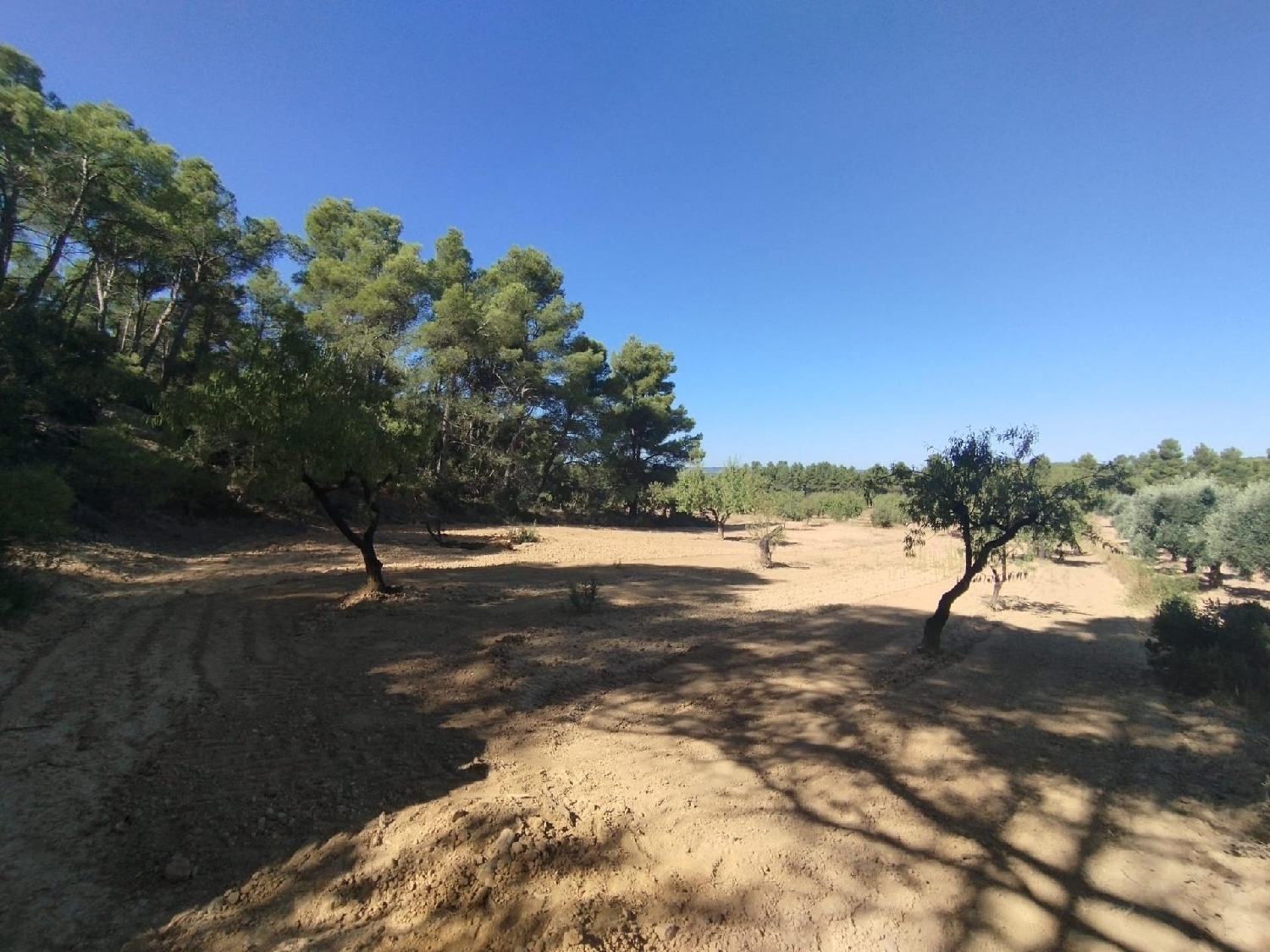  te koop boerderij Valderrobres Matarraña 5