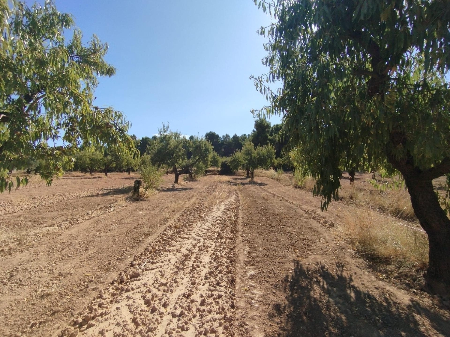  te koop boerderij Valderrobres Matarraña 6