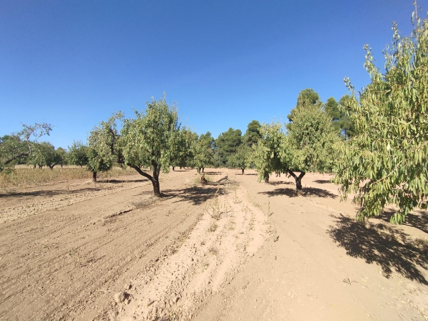  te koop boerderij Valderrobres Matarraña 7