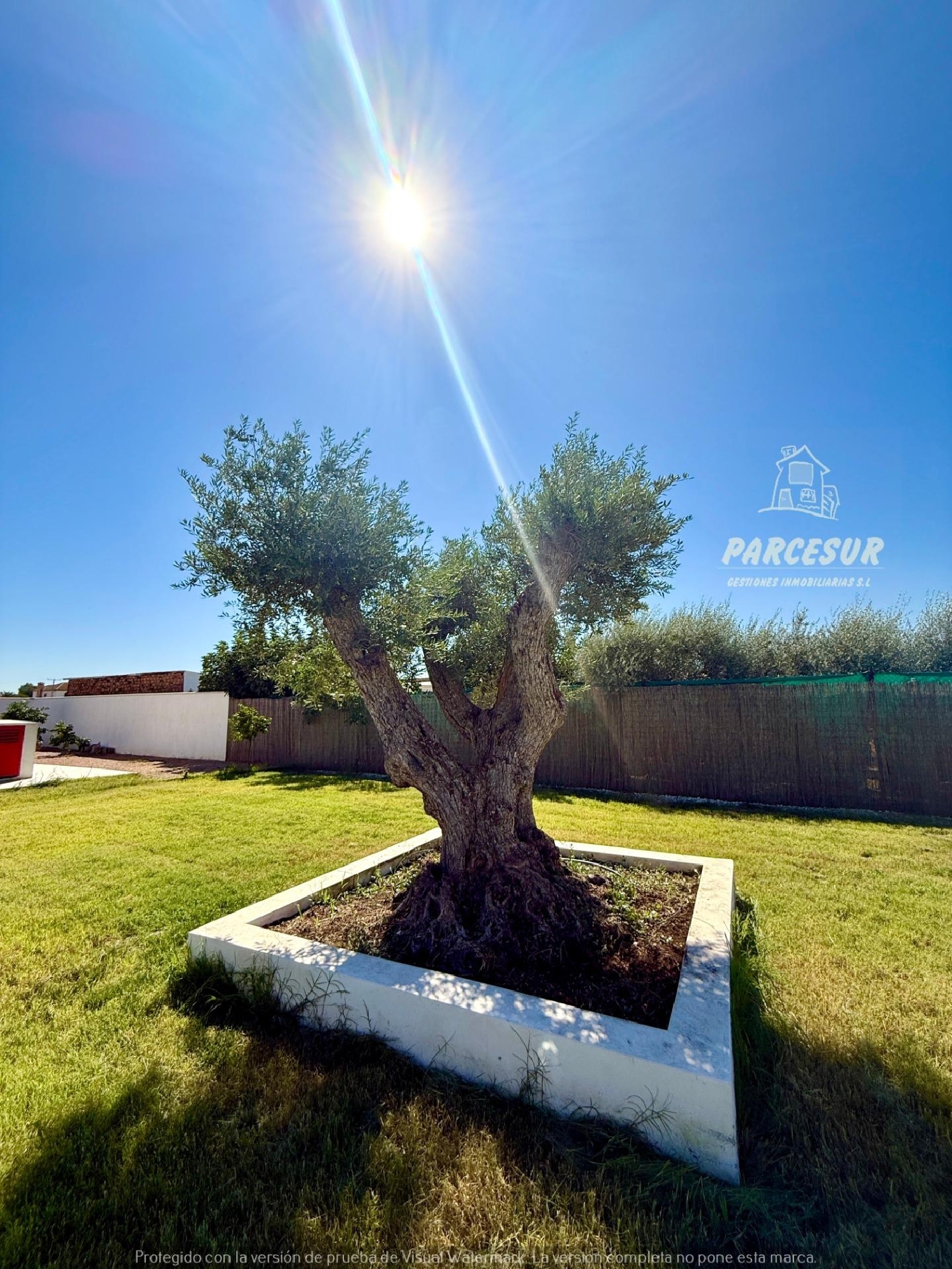  en venta finca rústica Villafranca De Córdoba Alto Guadalquivir 4