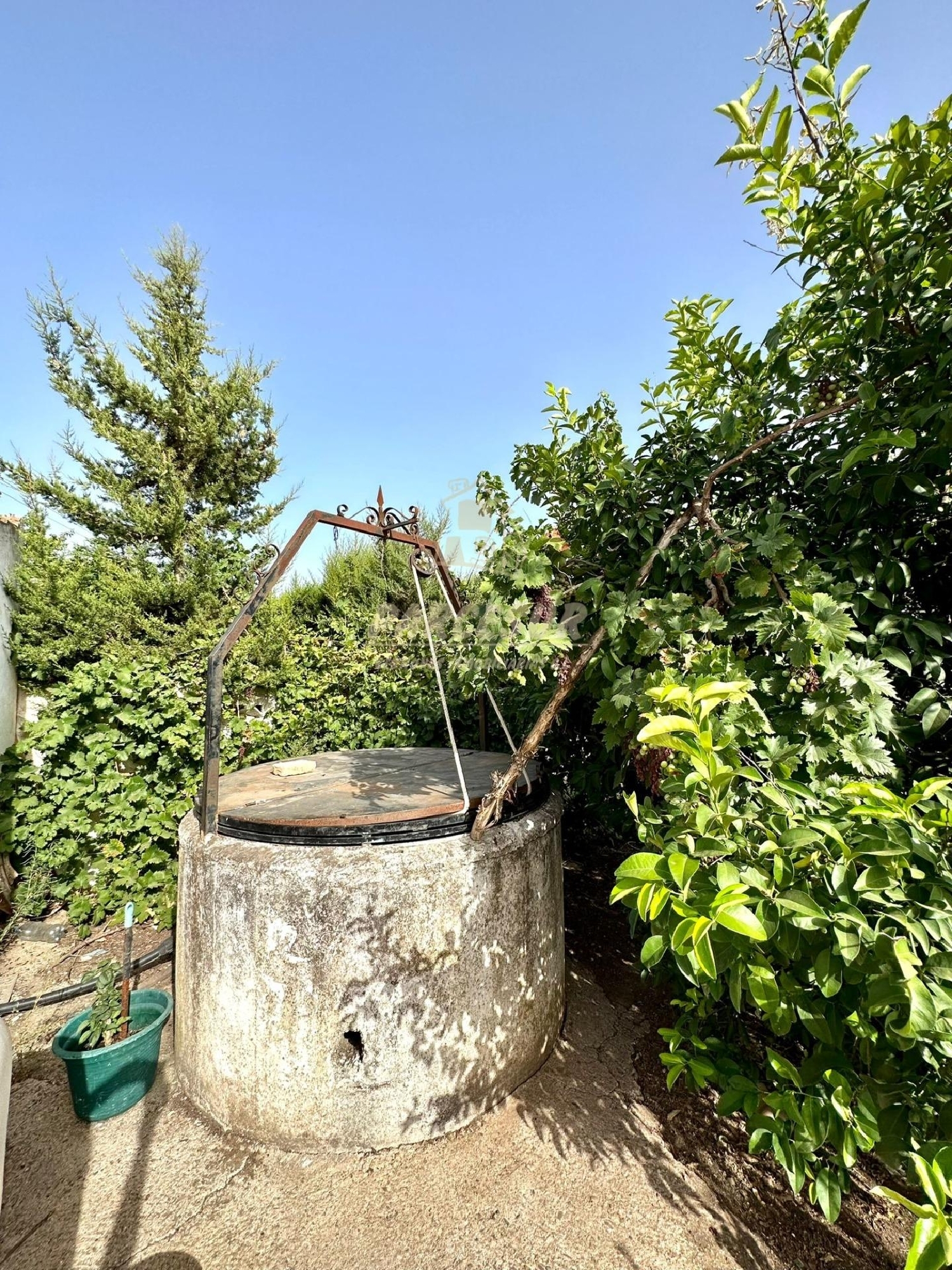  en venta finca rústica Villafranca De Córdoba Alto Guadalquivir 7