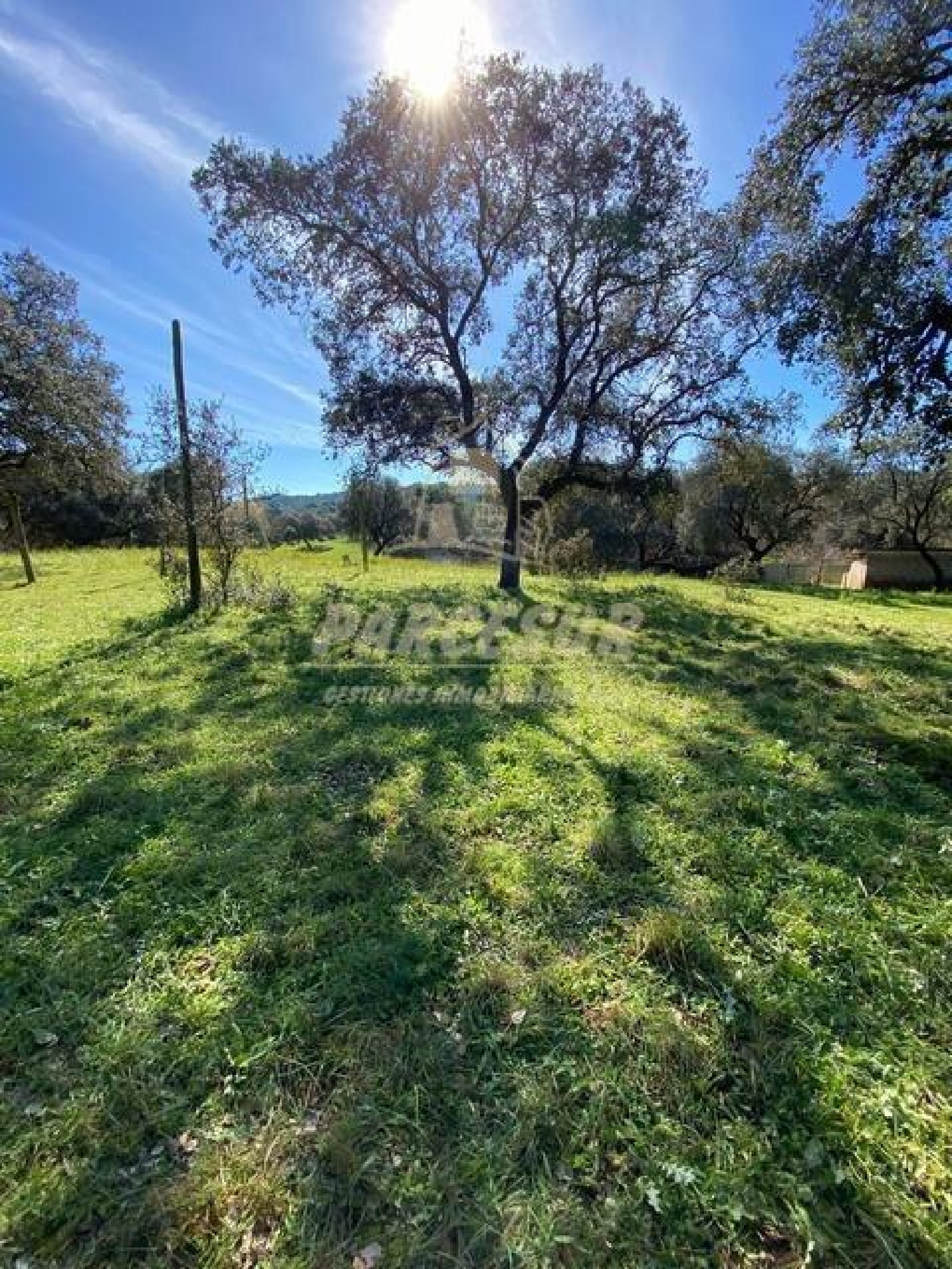  te koop boerderij Villafranca De Córdoba Alto Guadalquivir 4