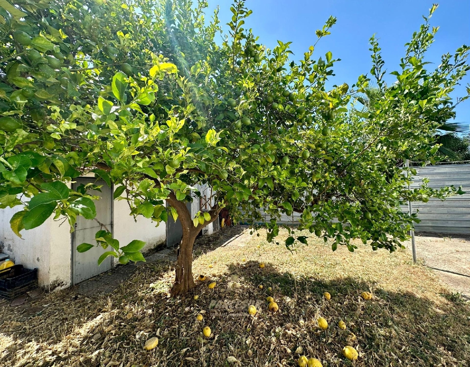  te koop boerderij Villafranca De Córdoba Alto Guadalquivir 8