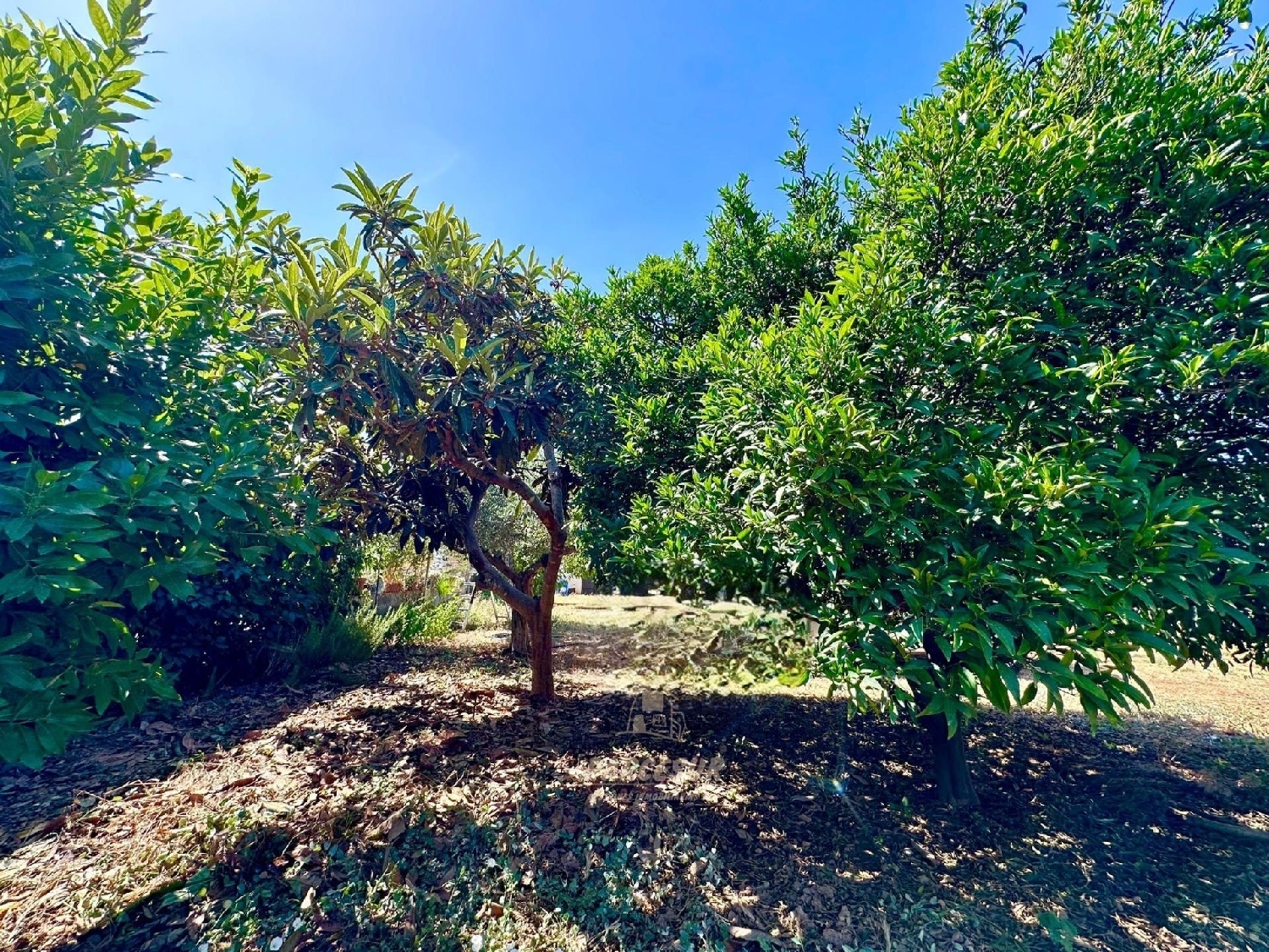  te koop boerderij Villafranca De Córdoba Alto Guadalquivir 2