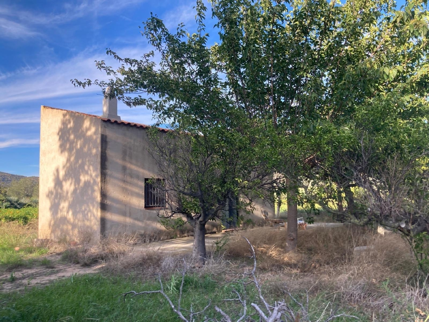  te koop boerderij Xerta Baix Ebre 3