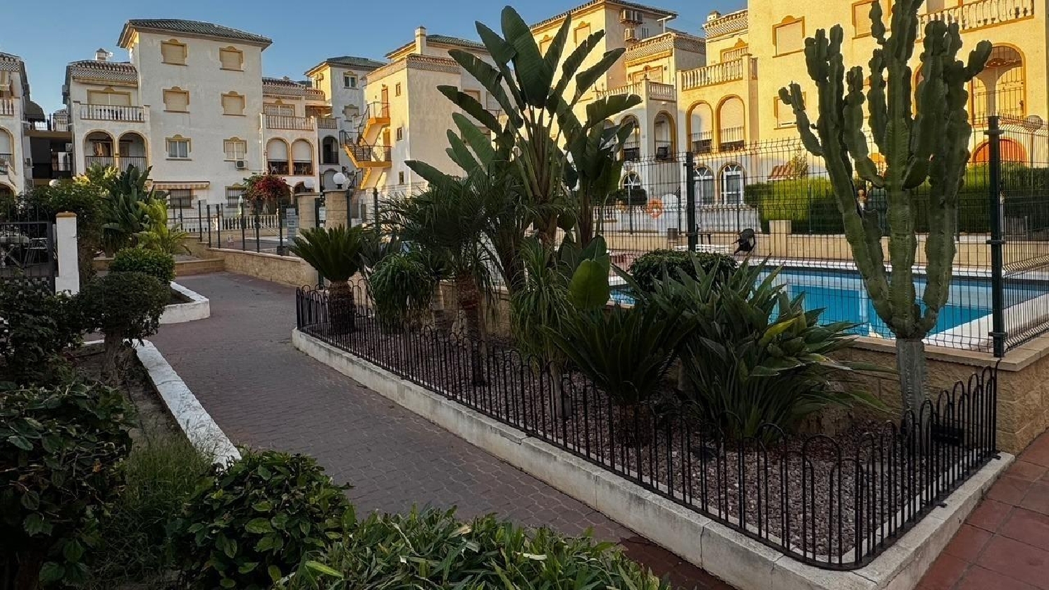  till salu etagevåning Torrevieja Baix Segura 4