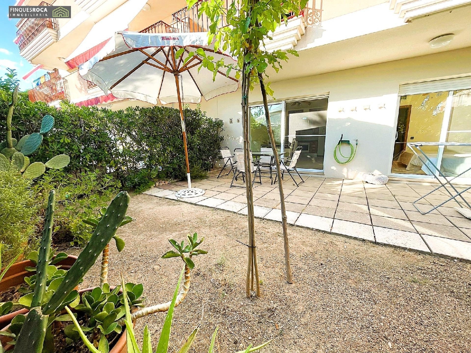  en venta planta baja Sant Carles De La Ràpita Montsià 2