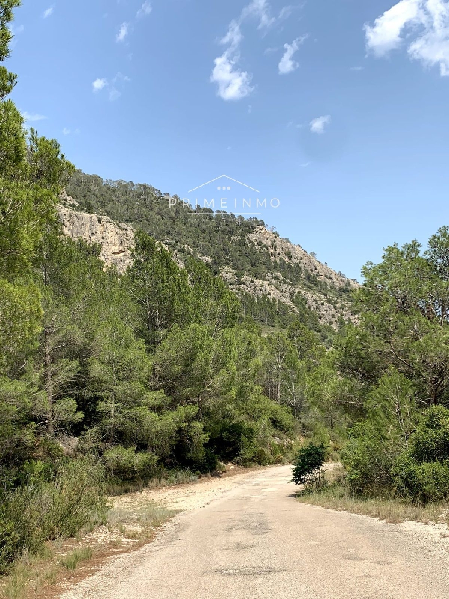  for sale house Alfara De Carles Baix Ebre 20