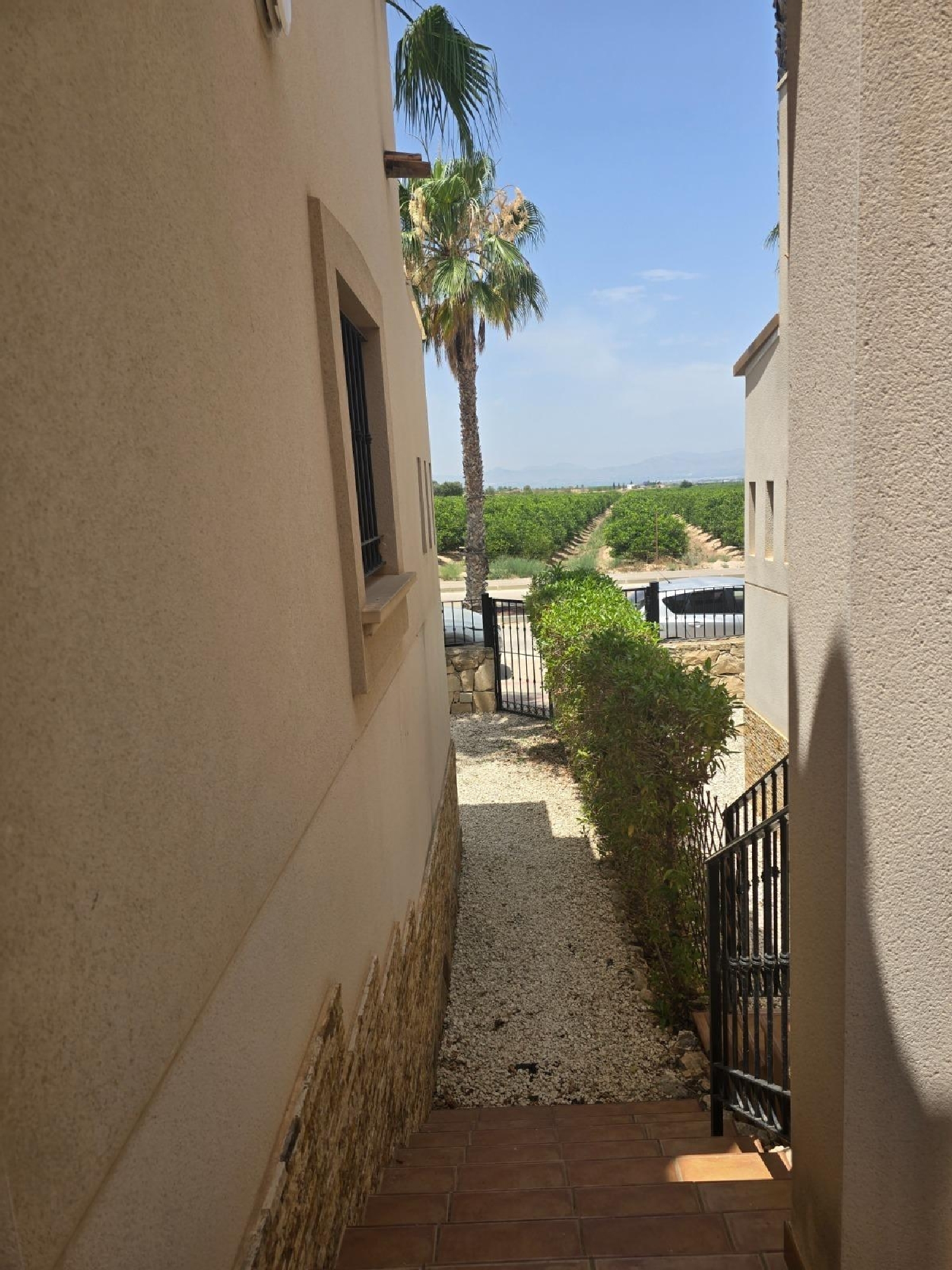  te koop huis Algorfa Baix Segura 7