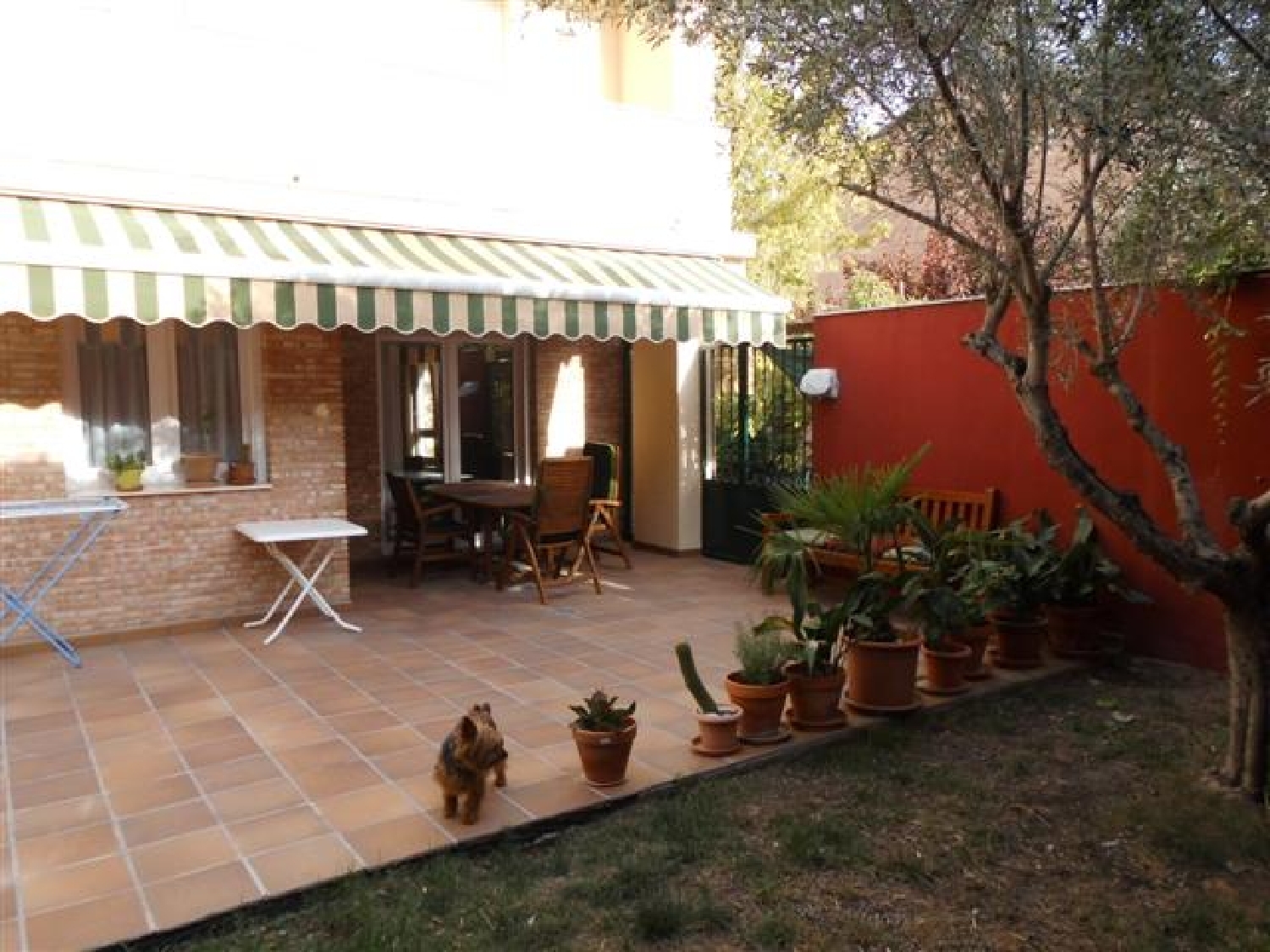  till salu hus Almansa Monte Ibérico Almansa 8