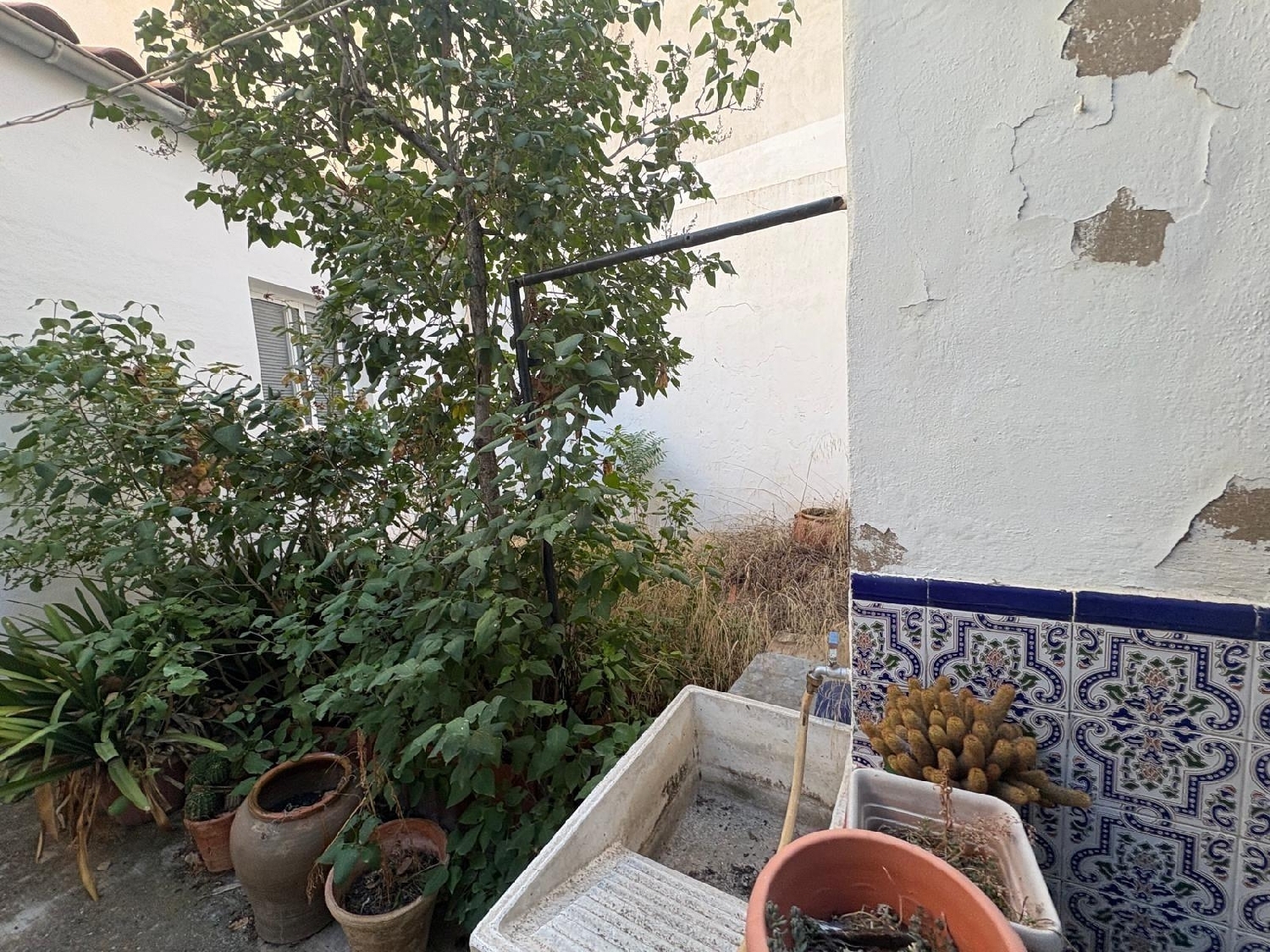  for sale house Almansa Monte Ibérico Almansa 6