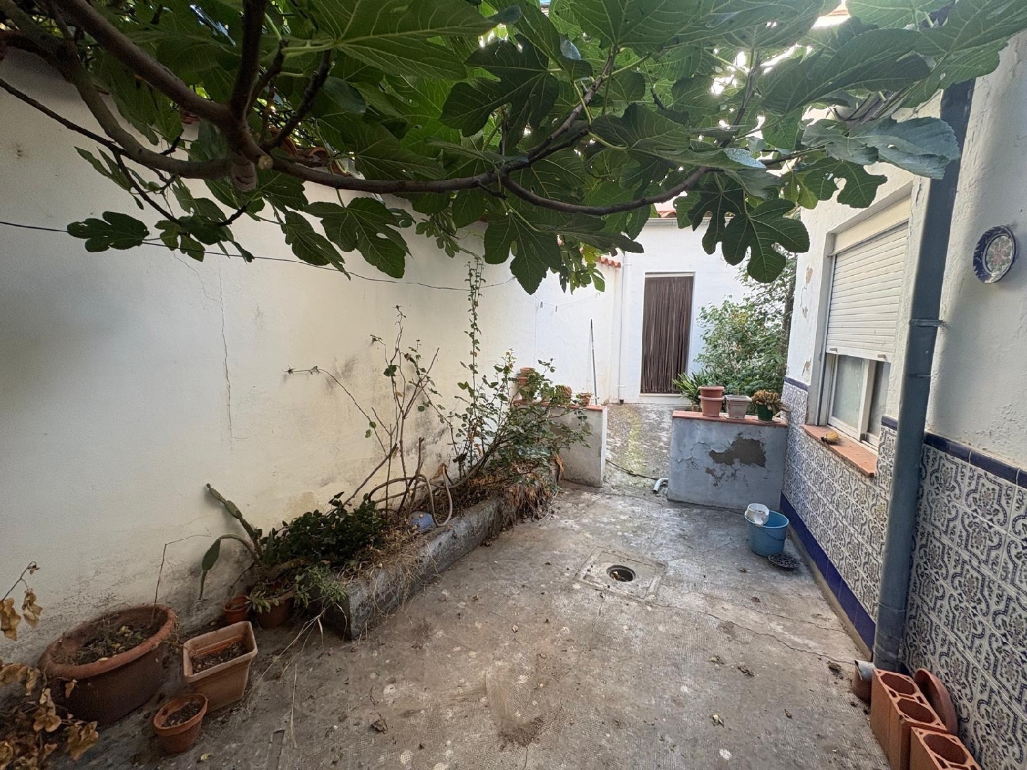  for sale house Almansa Monte Ibérico Almansa 8
