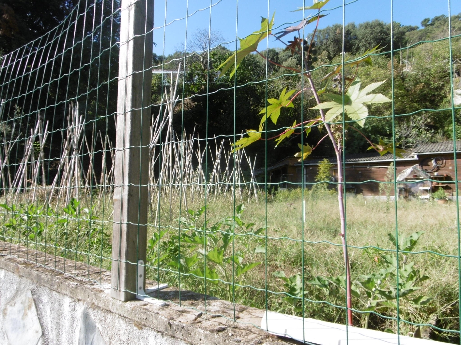 en venta casa Arbúcies Selva 4