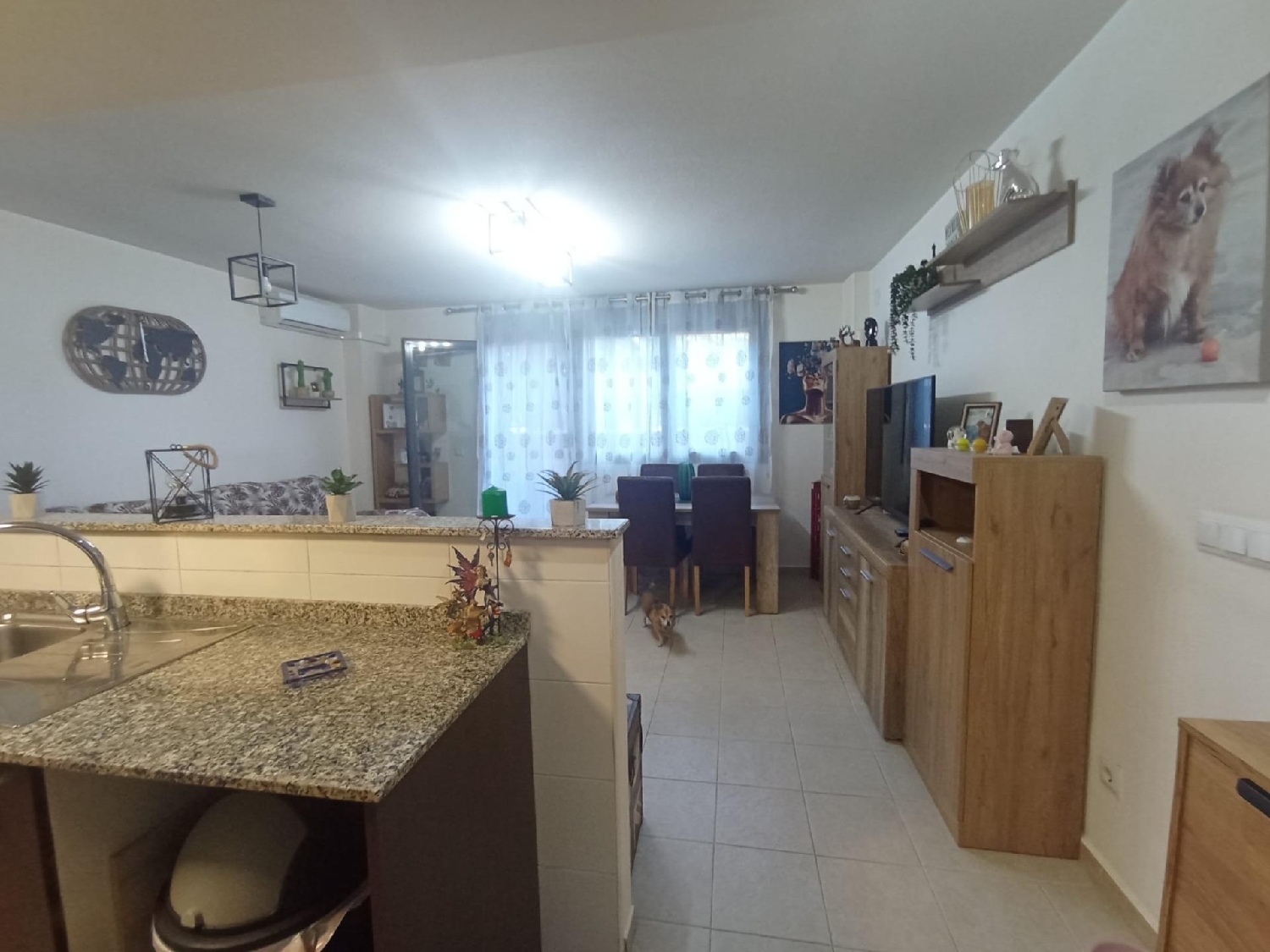  en venta casa Aspe Vinalopó Mitjà 5