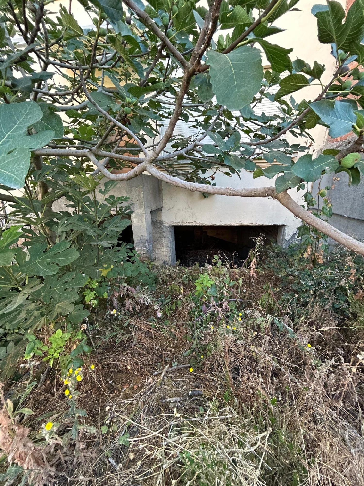  till salu hus Cacabelos Bierzo (El) 5