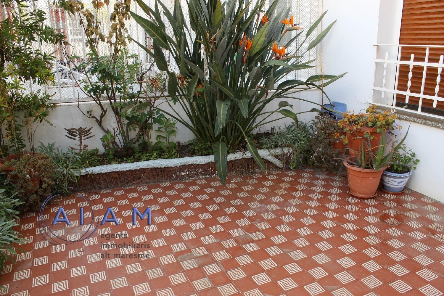  for sale house Calella Maresme 3