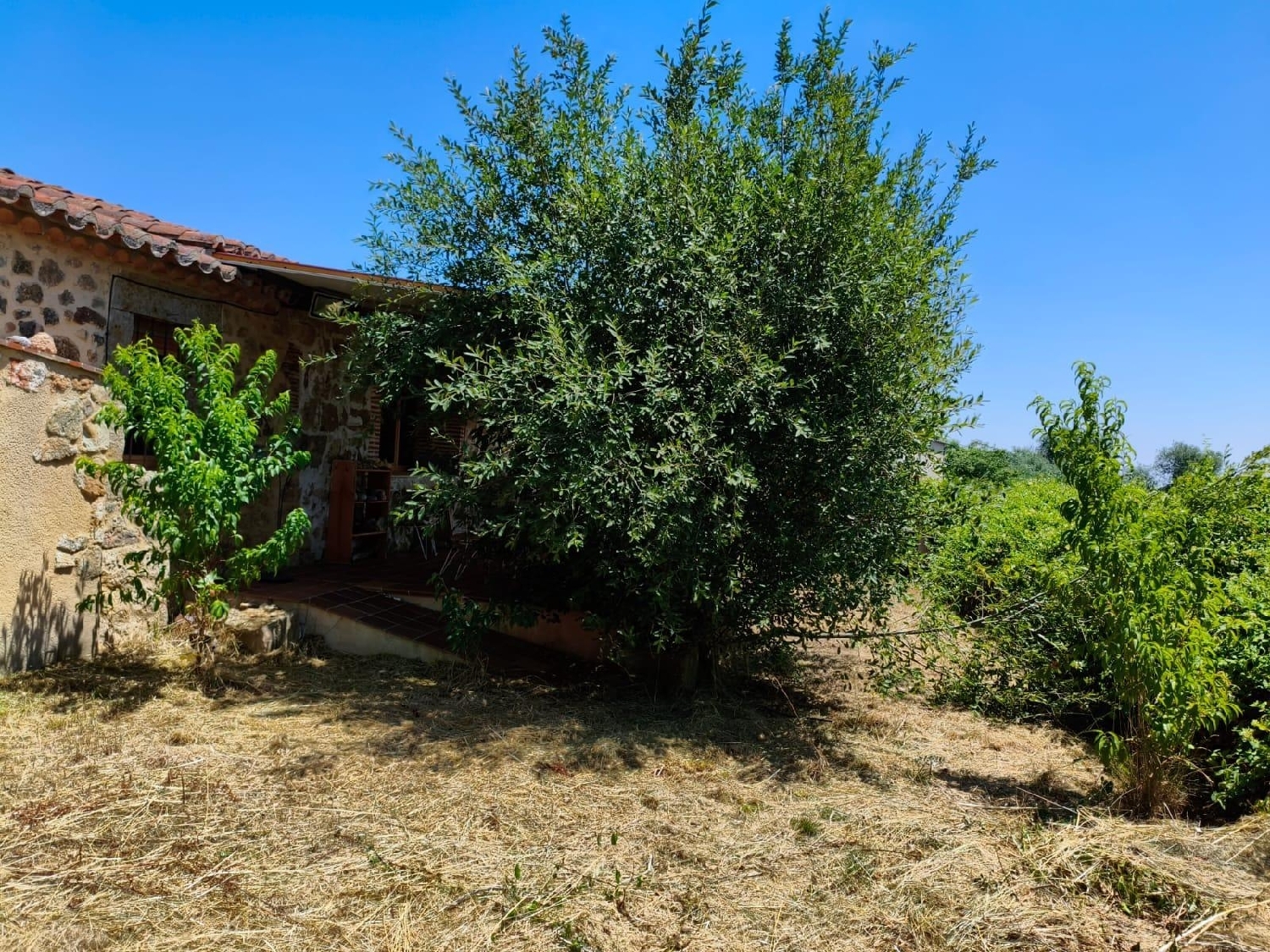 for sale house Canillas De Abajo Campo De Salamanca 3