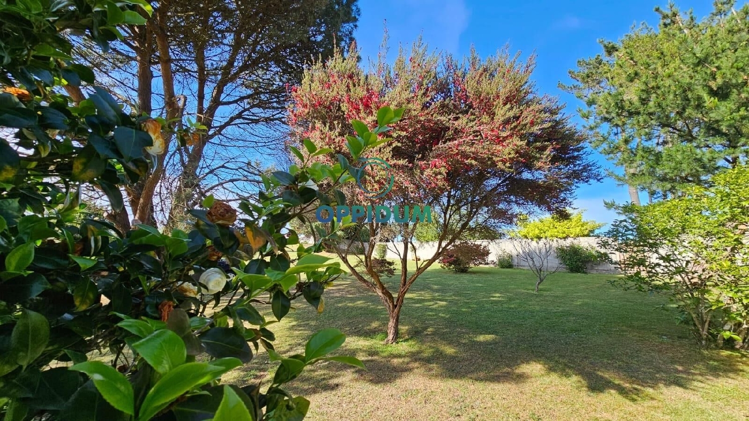  en venta casa Carballo Arzúa 6