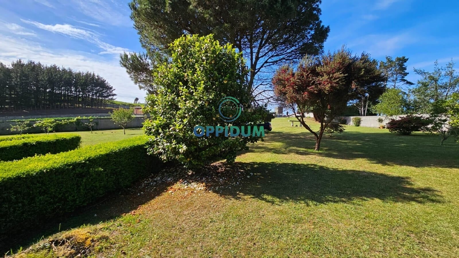  en venta casa Carballo Arzúa 8