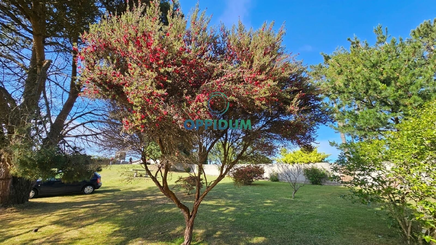  en venta casa Carballo Arzúa 5