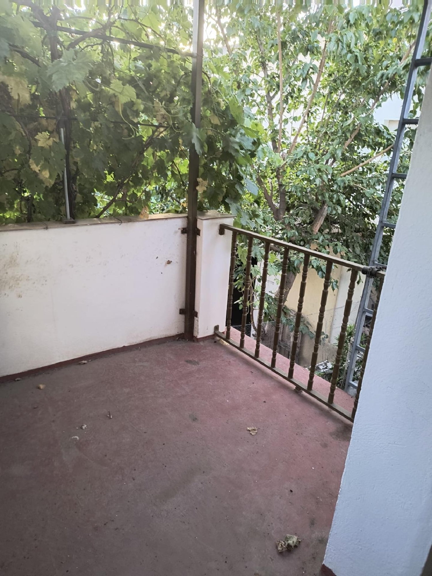  te koop huis Cuevas De San Marcos Nororma 4