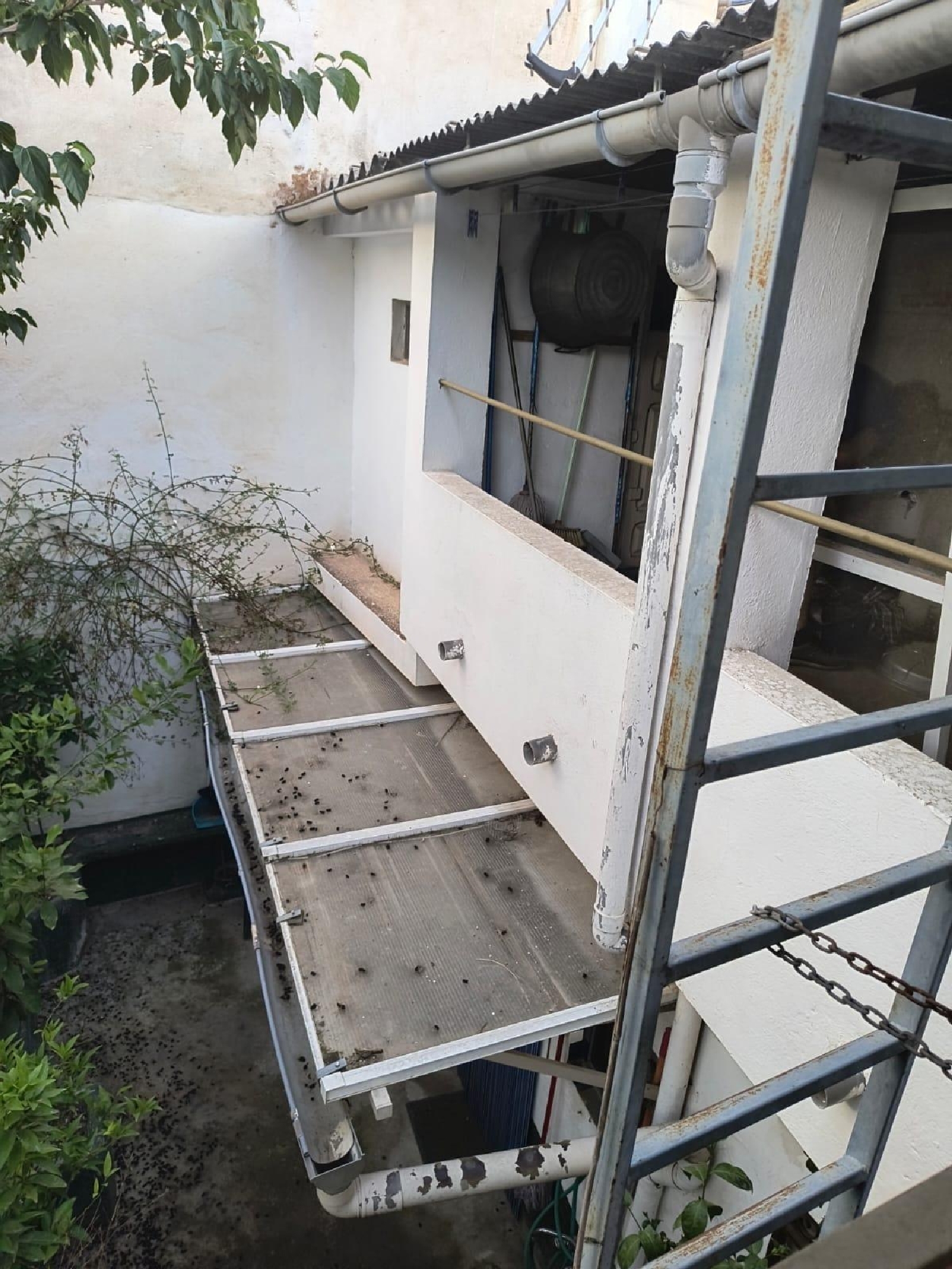  te koop huis Cuevas De San Marcos Nororma 7