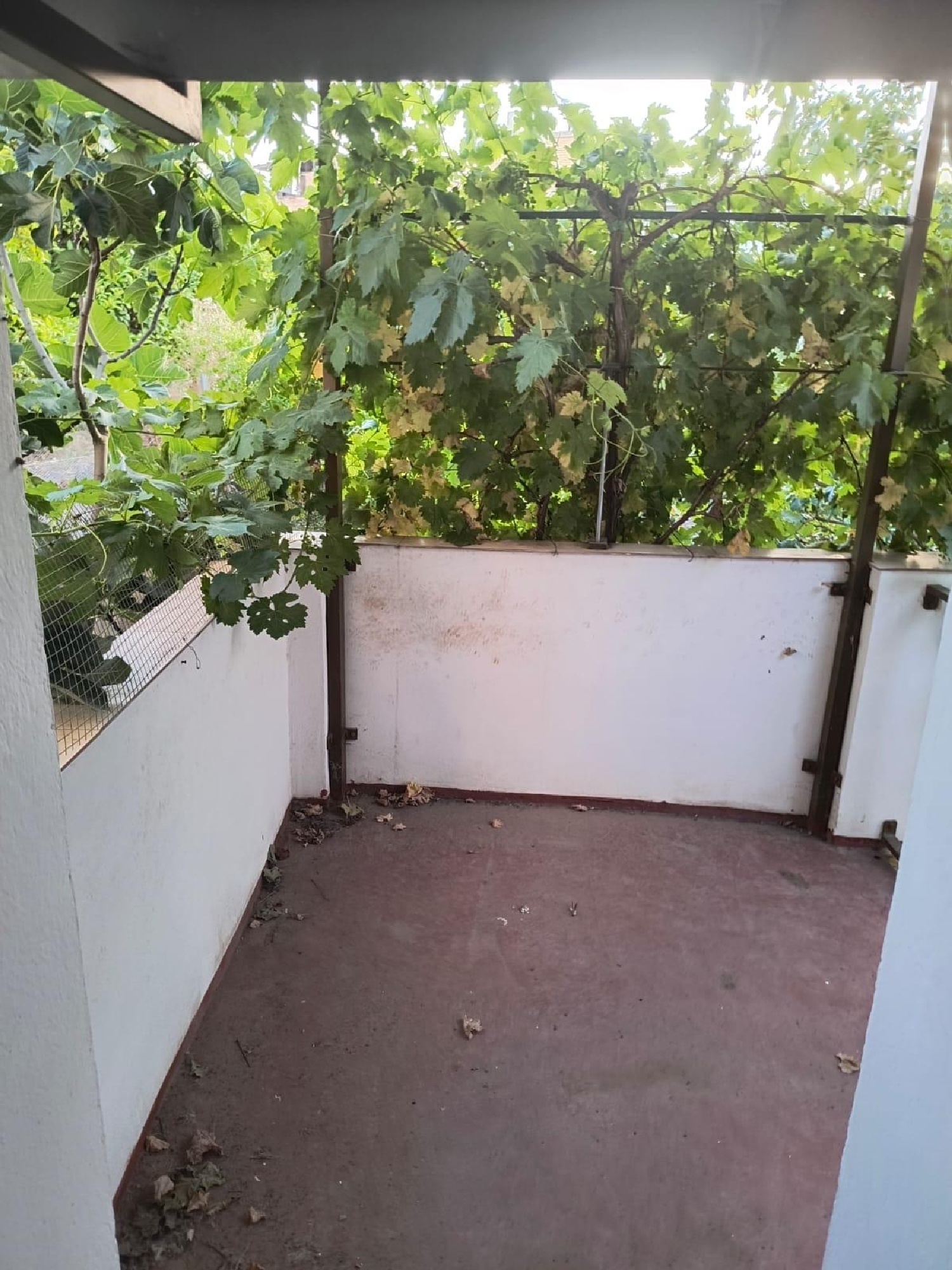  te koop huis Cuevas De San Marcos Nororma 5