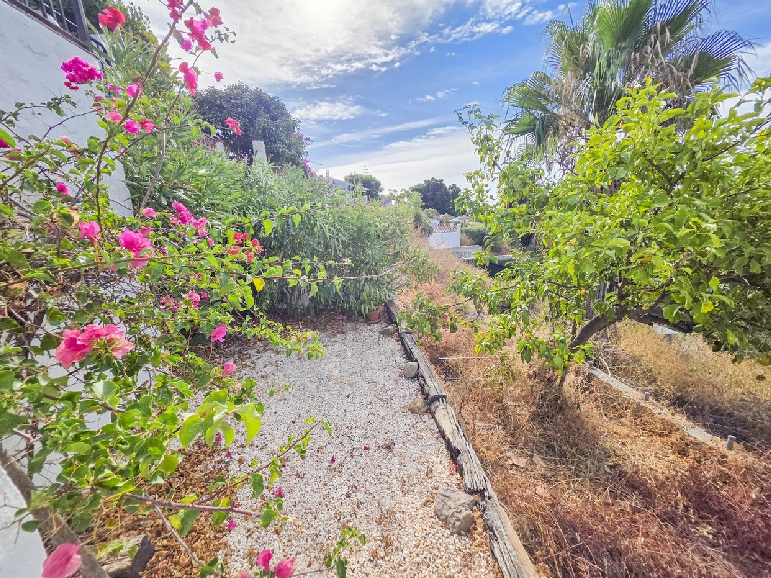  à vendre maison Estepona Costa Del Sol Occidental 2