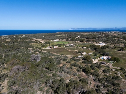 Formentera Del Segura Baix Segura house foto 6301339