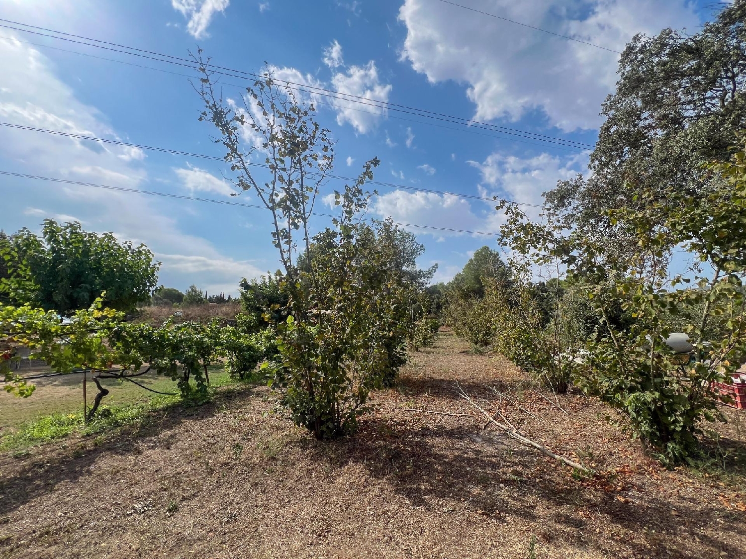 for sale house Les Borges Del Camp Baix Camp 8