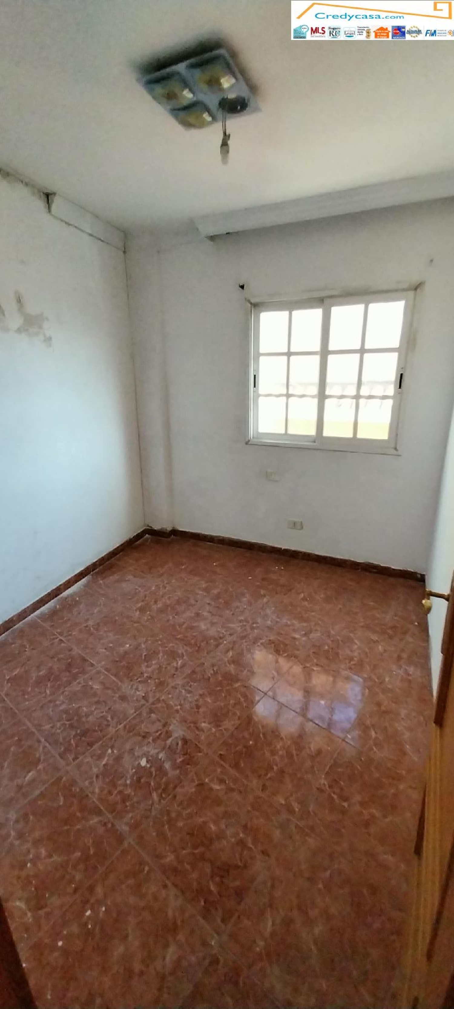 à vendre maison Los Realejos Zona Norte 3