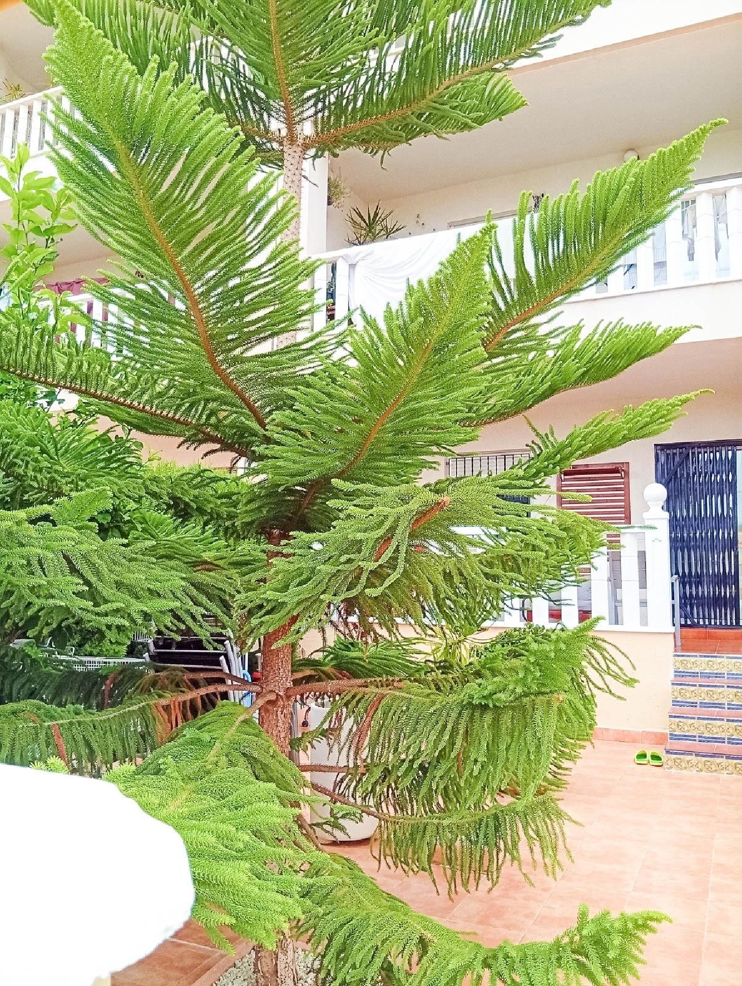  à vendre maison Orihuela Costa Baix Segura 4