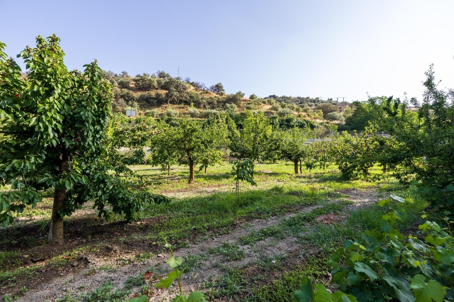  te koop huis Pinos Genil Vega De Granada 2