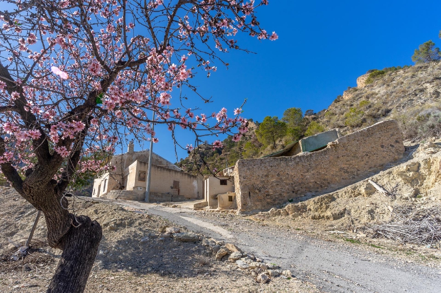  en venta casa Ricote Valle De Ricote 1