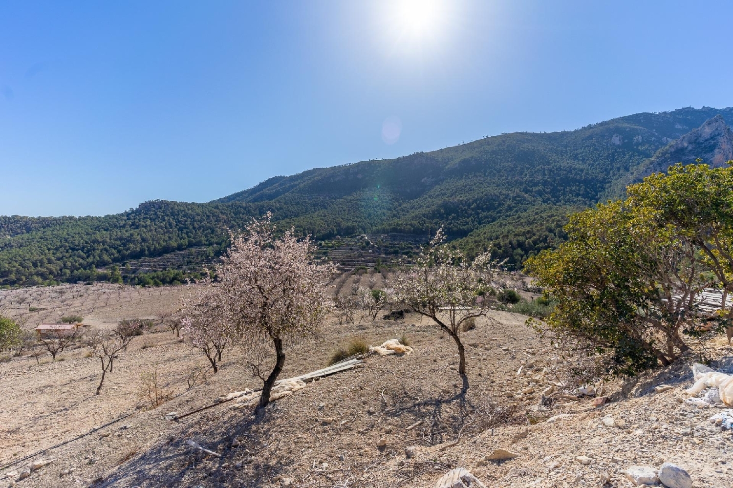  en venta casa Ricote Valle De Ricote 37