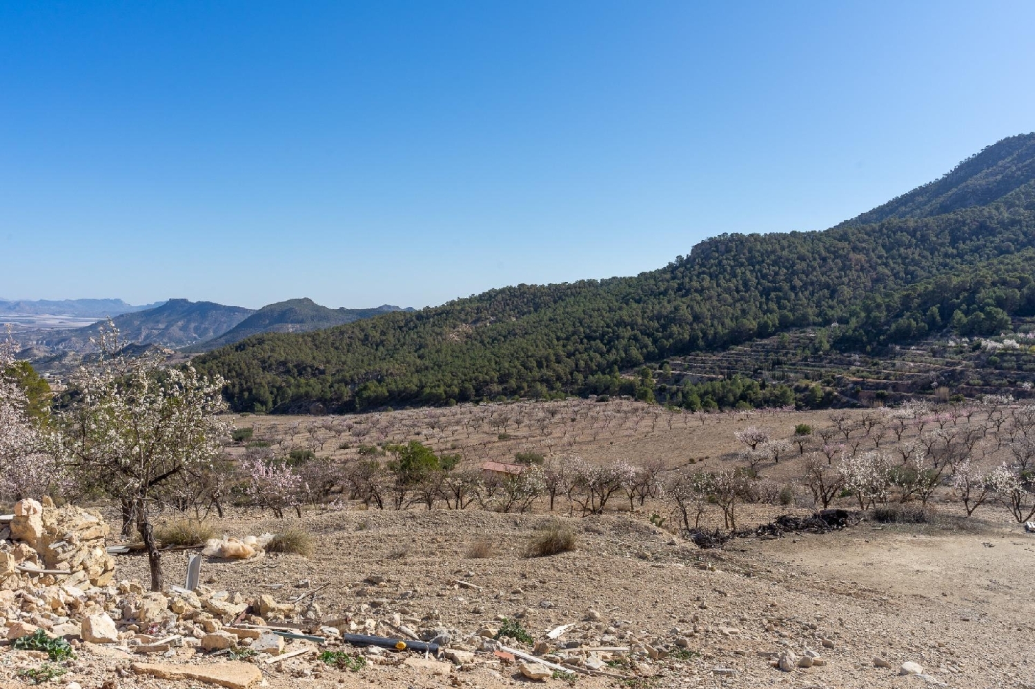  en venta casa Ricote Valle De Ricote 40