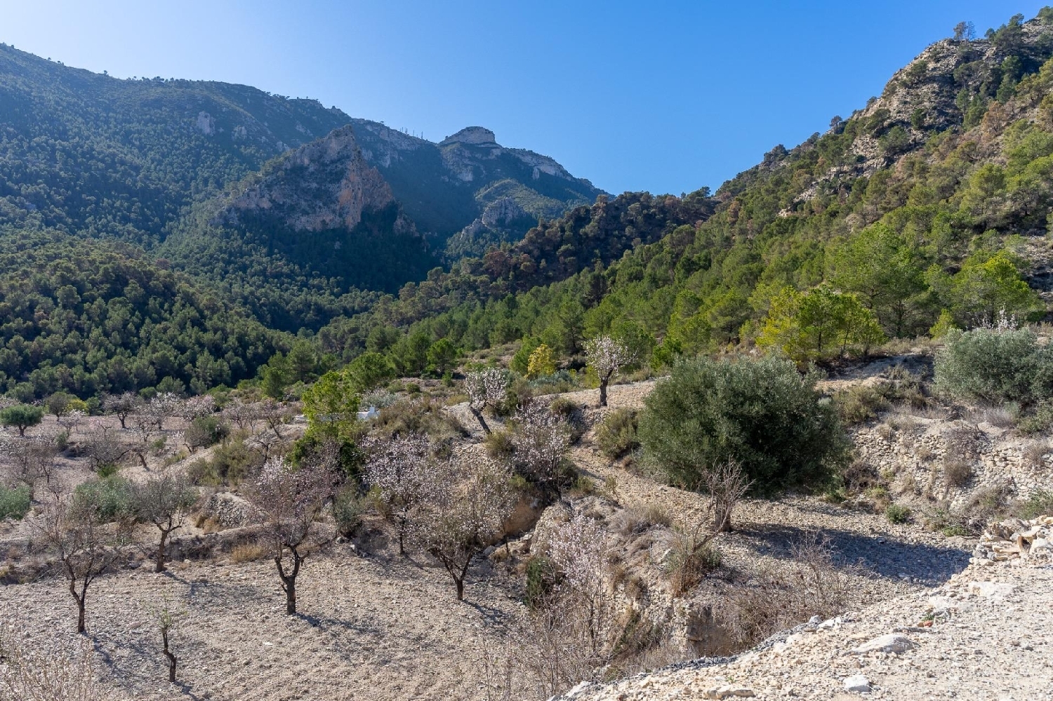  en venta casa Ricote Valle De Ricote 35