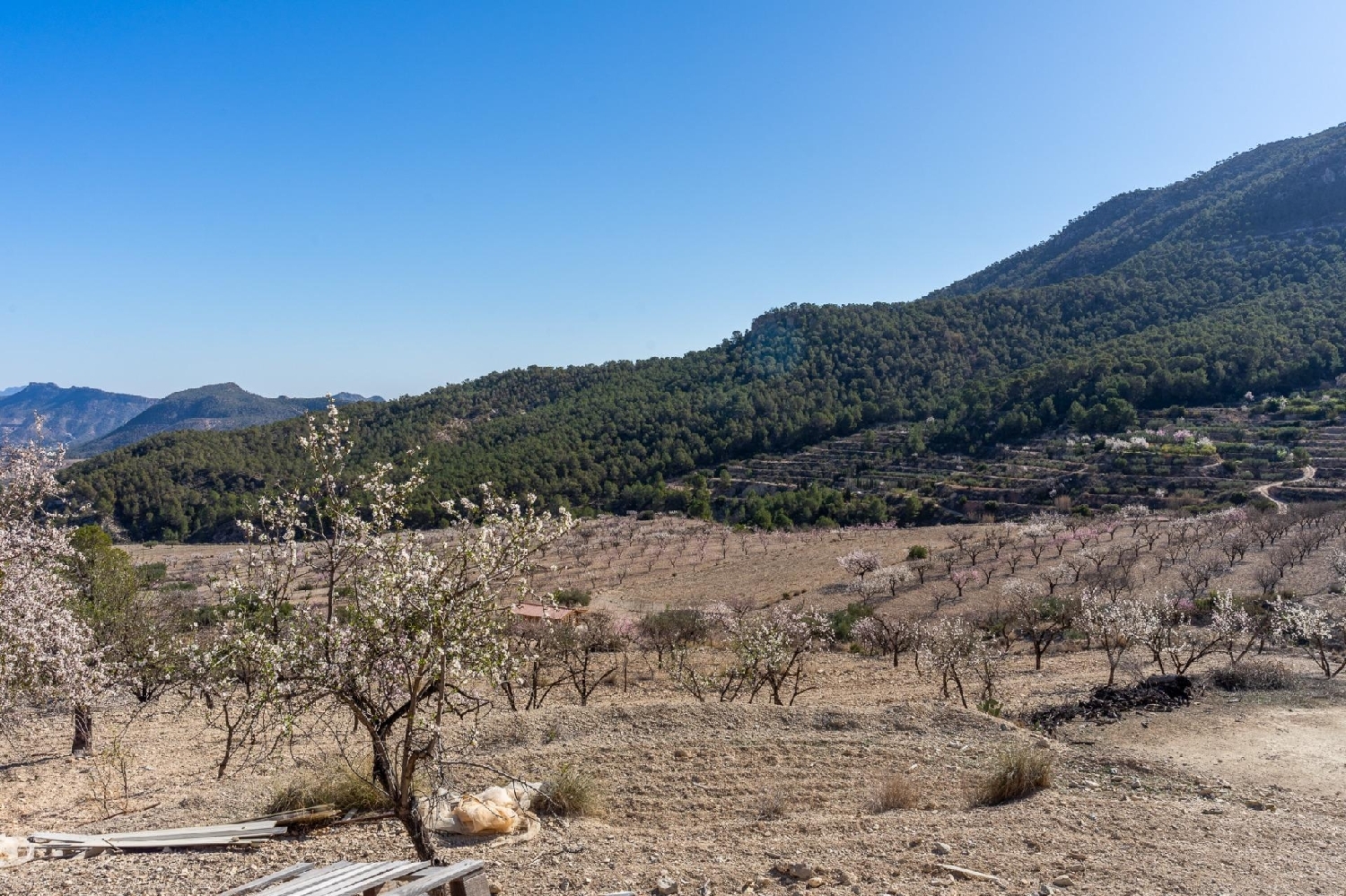 en venta casa Ricote Valle De Ricote 6