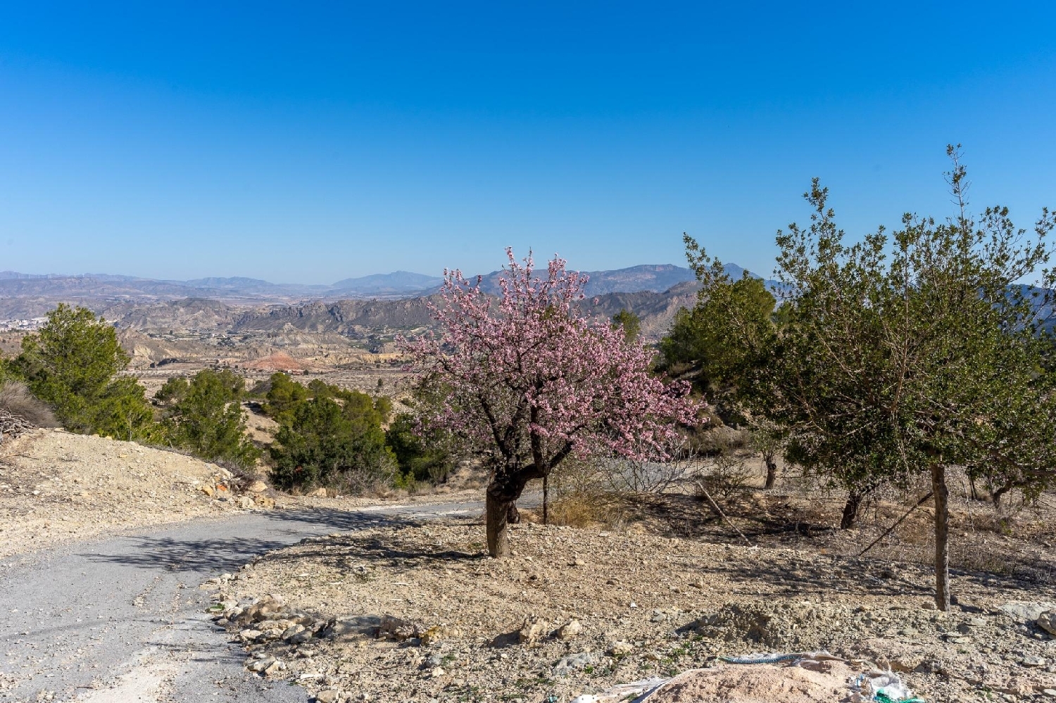  en venta casa Ricote Valle De Ricote 3
