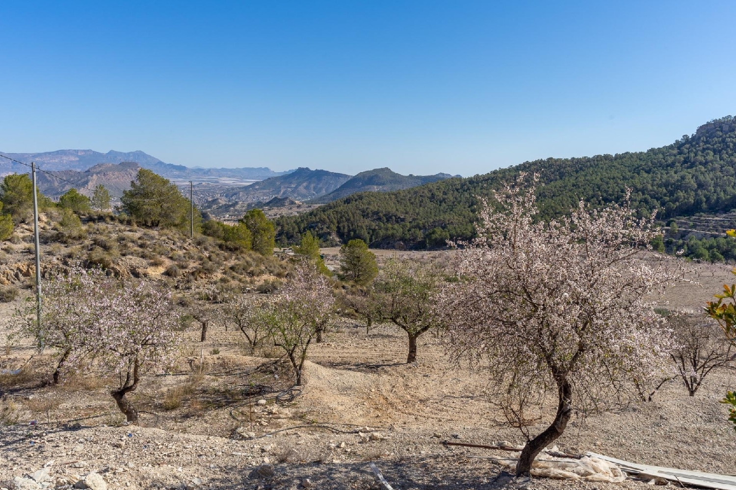  en venta casa Ricote Valle De Ricote 38
