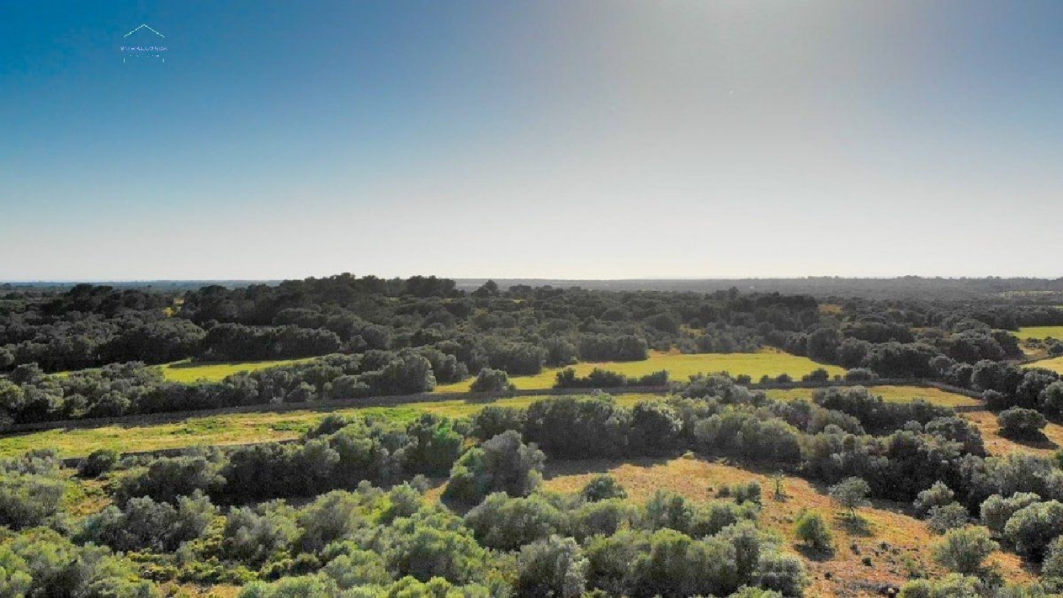  for sale house Santanyí Sud 4