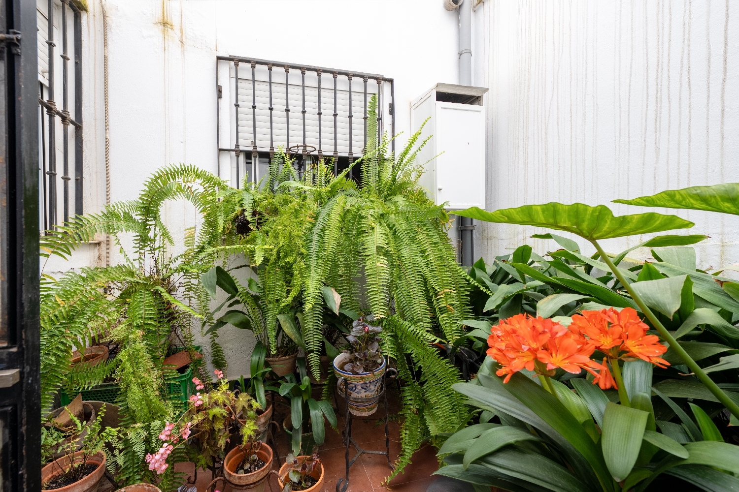  kaufen Haus Sevilla La Nueva Sur 4