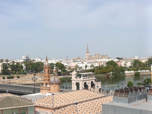 Sevilla La Nueva Sur house foto 6294646