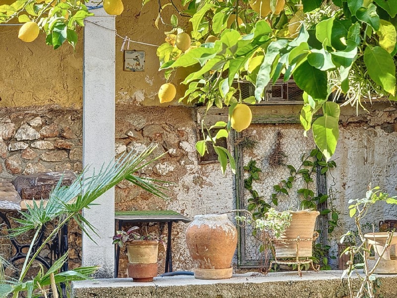  till salu hus Sóller Tramuntana 2