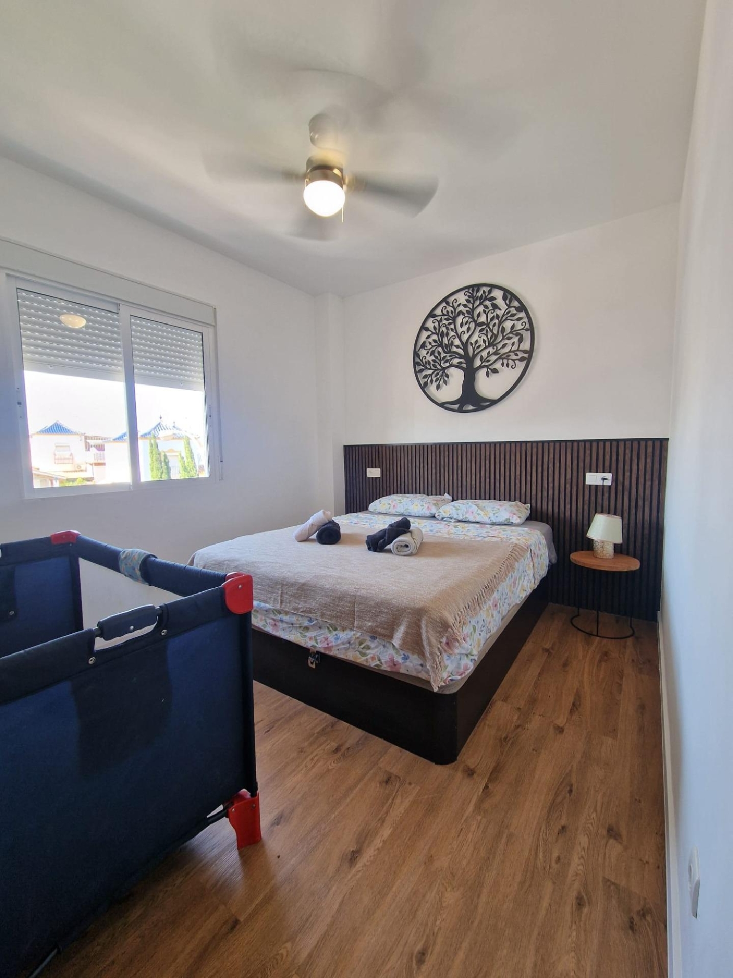  à vendre maison Torrevieja Baix Segura 5