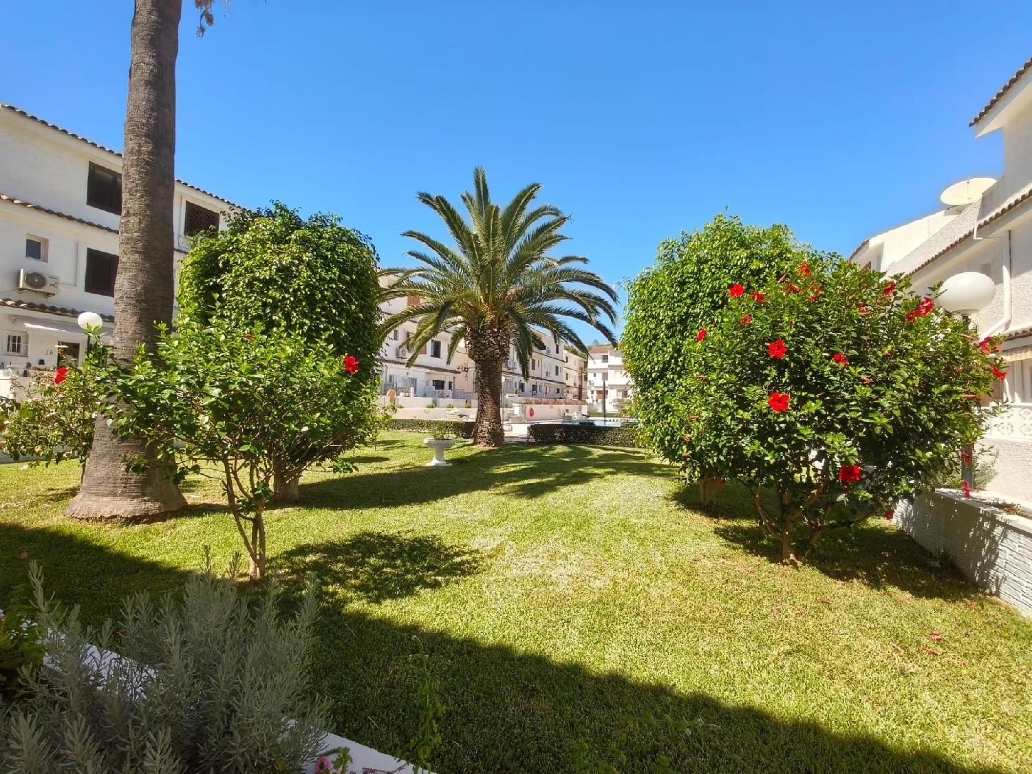  kaufen Haus Torrevieja Baix Segura 4