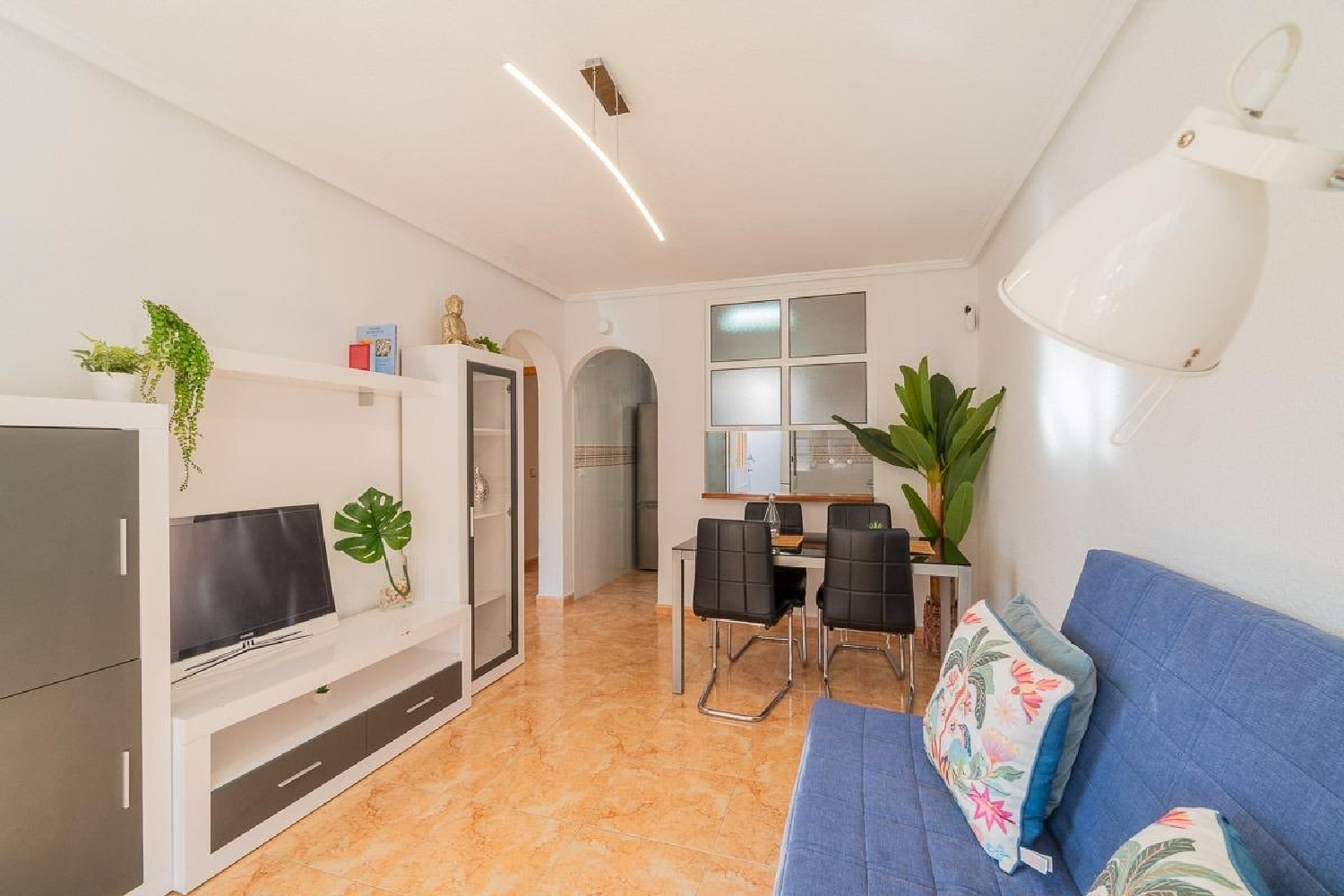  till salu hus Torrevieja Baix Segura 9