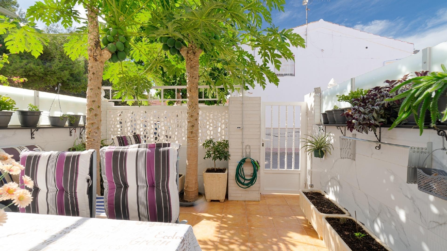  till salu hus Torrevieja Baix Segura 2