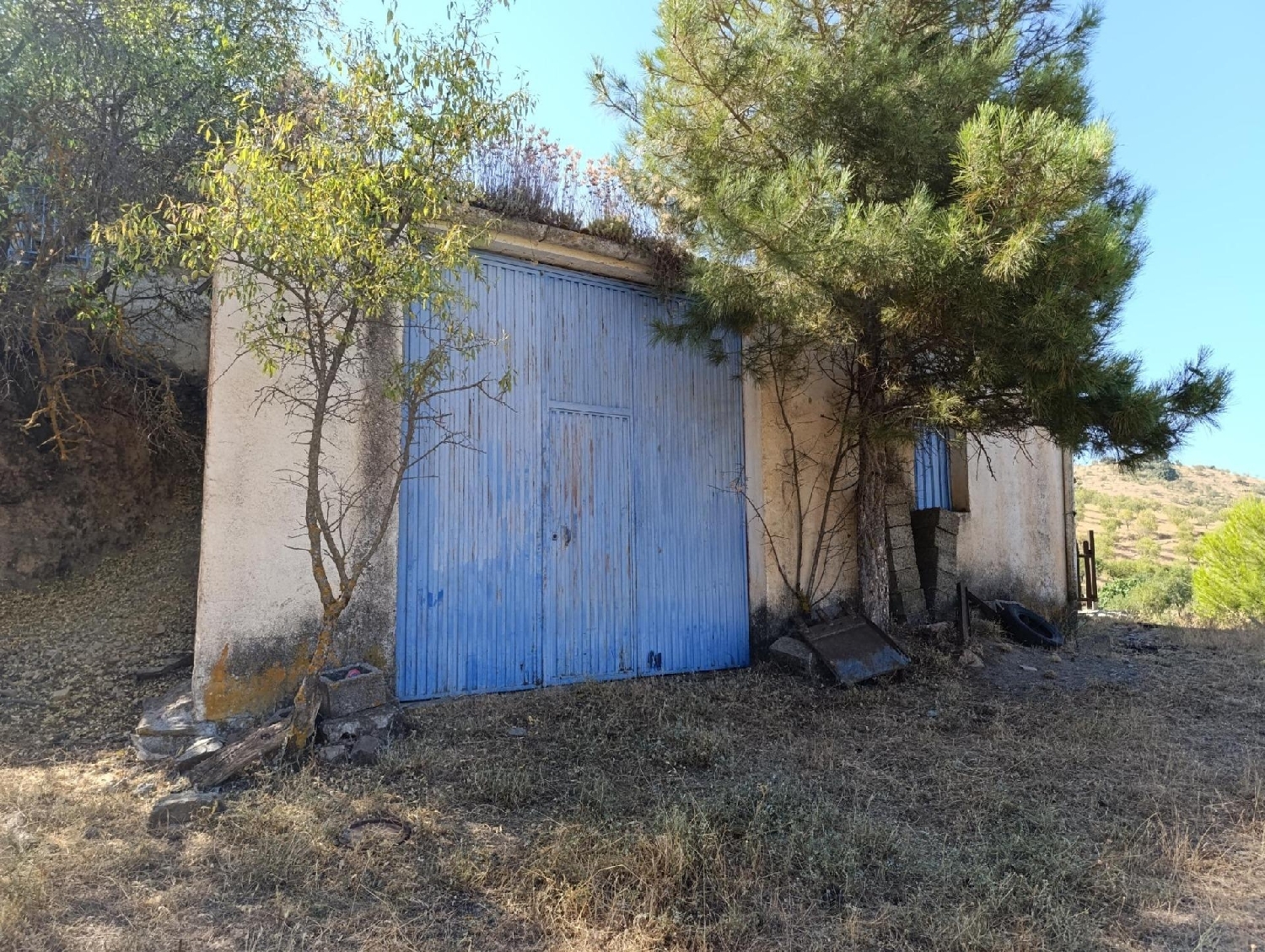  for sale house Torvizcón Alpujarra Granadina 8