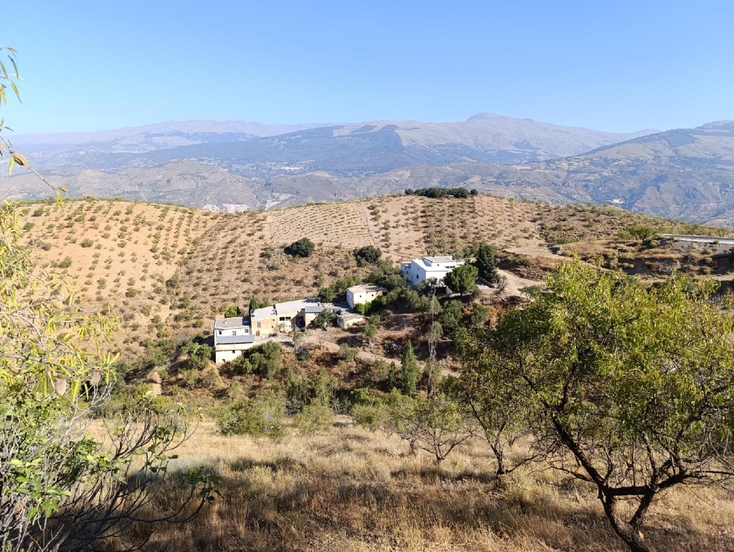  for sale house Torvizcón Alpujarra Granadina 3